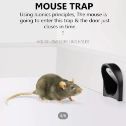 مصيدة فئران للتخلص من الفئران