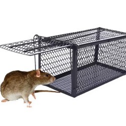 مصيدة فئران شبك حديد