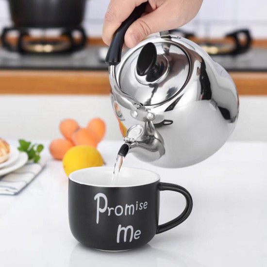 كتلي ستيل صفارة 